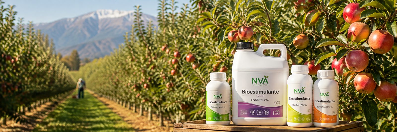 Bioestimulantes foliares NVA en un huerto de manzanos