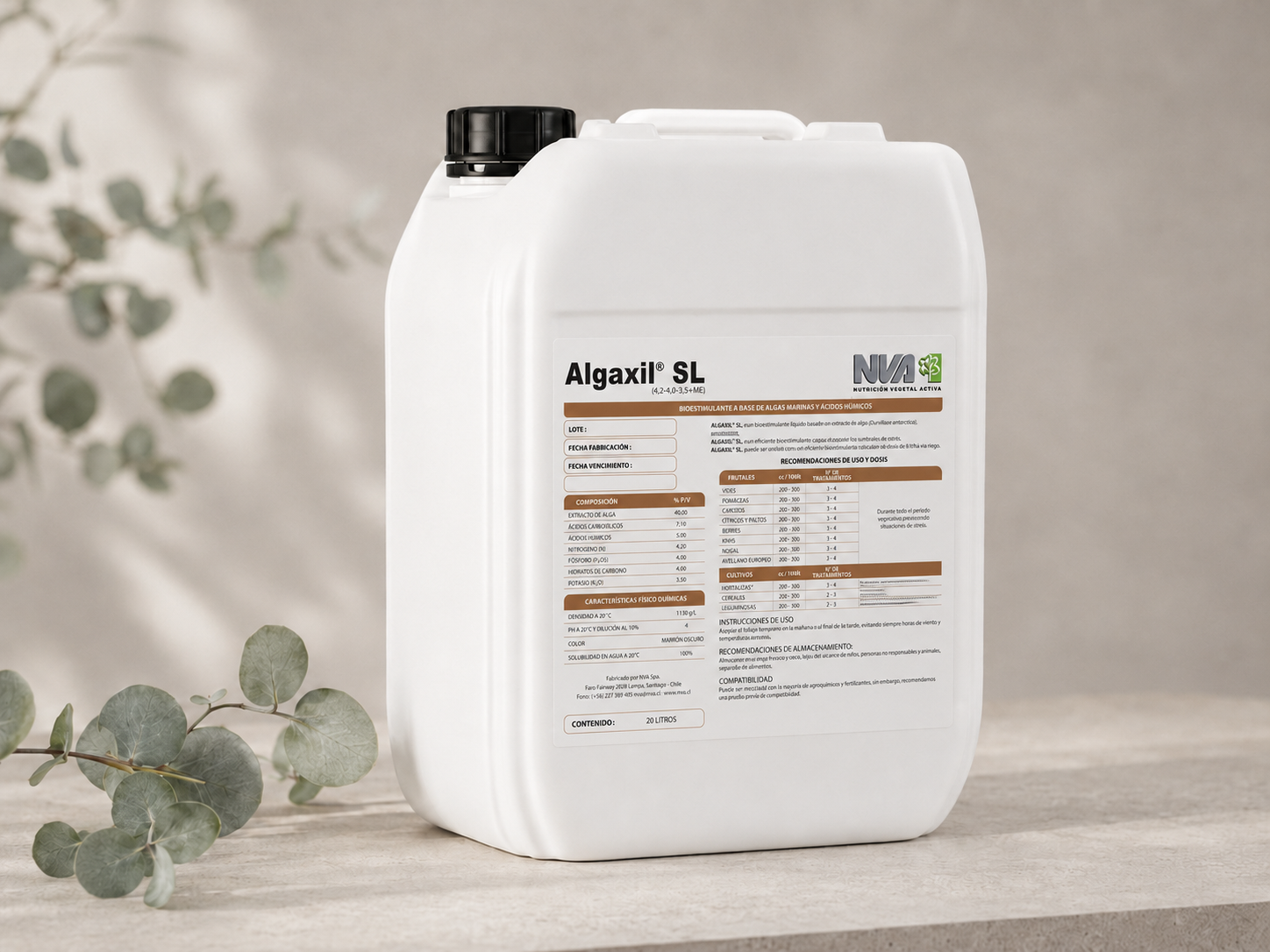 Algaxil