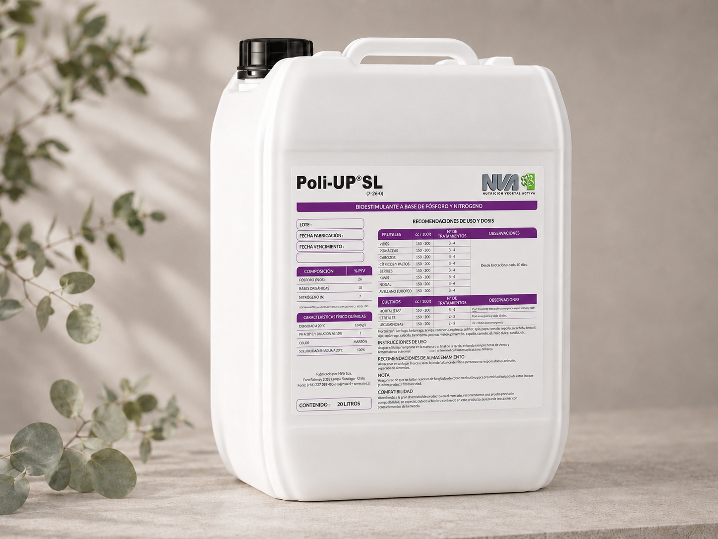 Poli UP